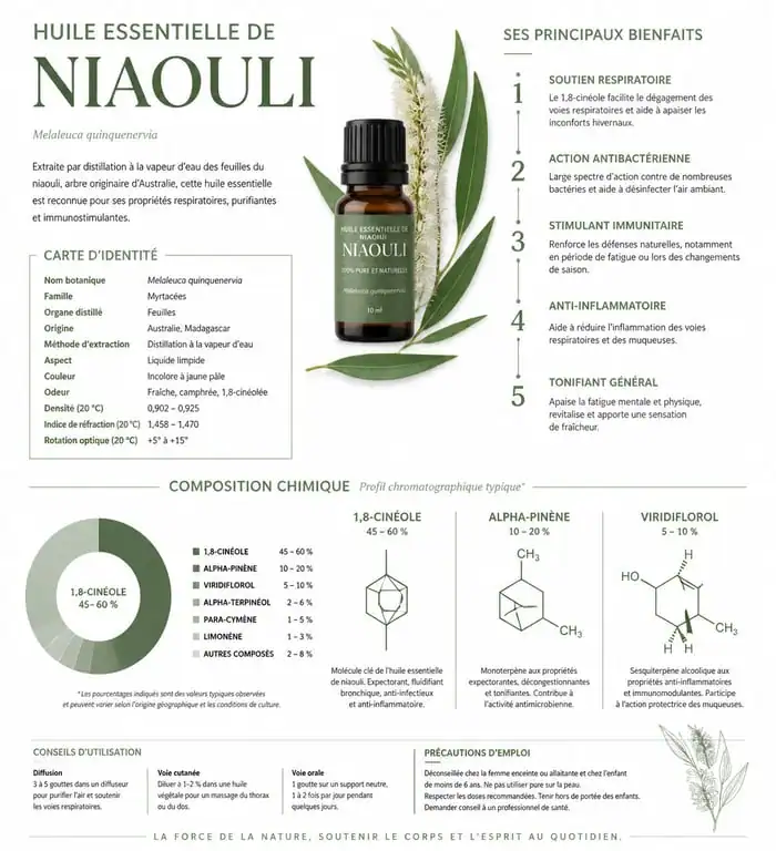 Infographie des bienfaits et propriétés de l'huile essentielle de niaouli
