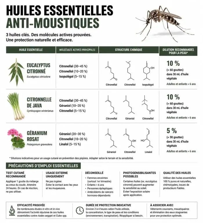 Infographie sur l'utilisation des huiles essentielles contre les moustiques : dilutions et précautions