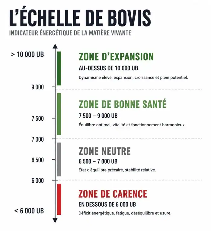 Infographie de l'échelle de Bovis illustrant les différents niveaux de taux vibratoire et leur impact sur la vitalité.