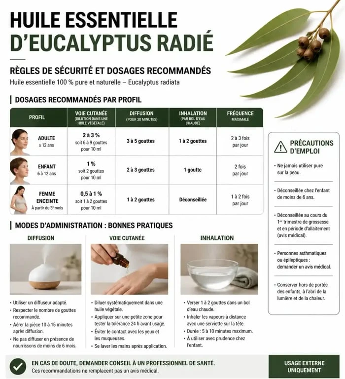 Infographie des règles de sécurité et dosages pour l'utilisation de l'huile essentielle d'eucalyptus radié